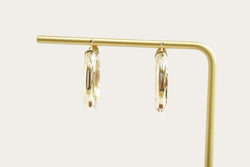 Hollow Hoop Gold Earrings Saddlebacks