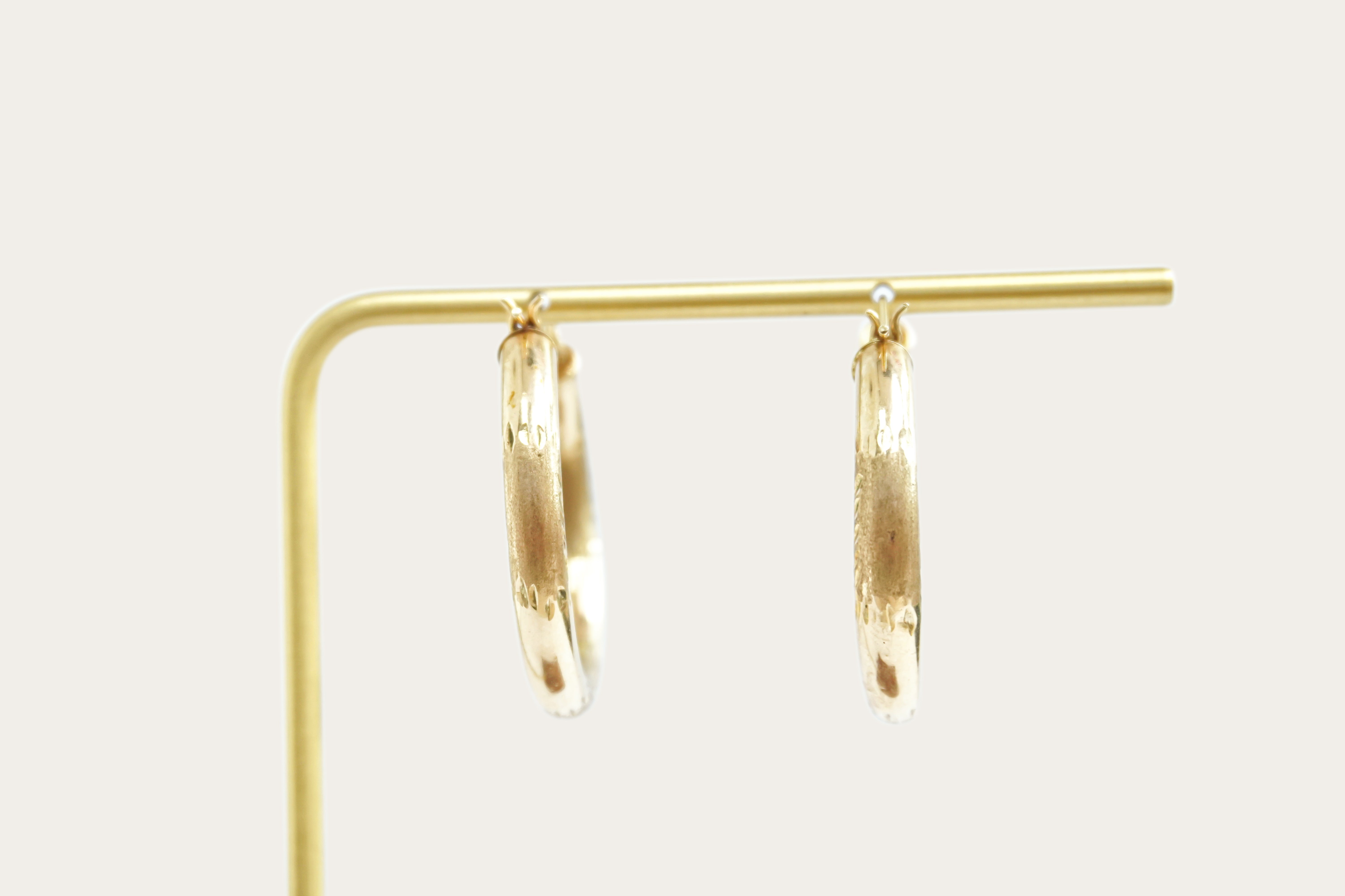 Hollow Hoop Gold Earrings Saddlebacks