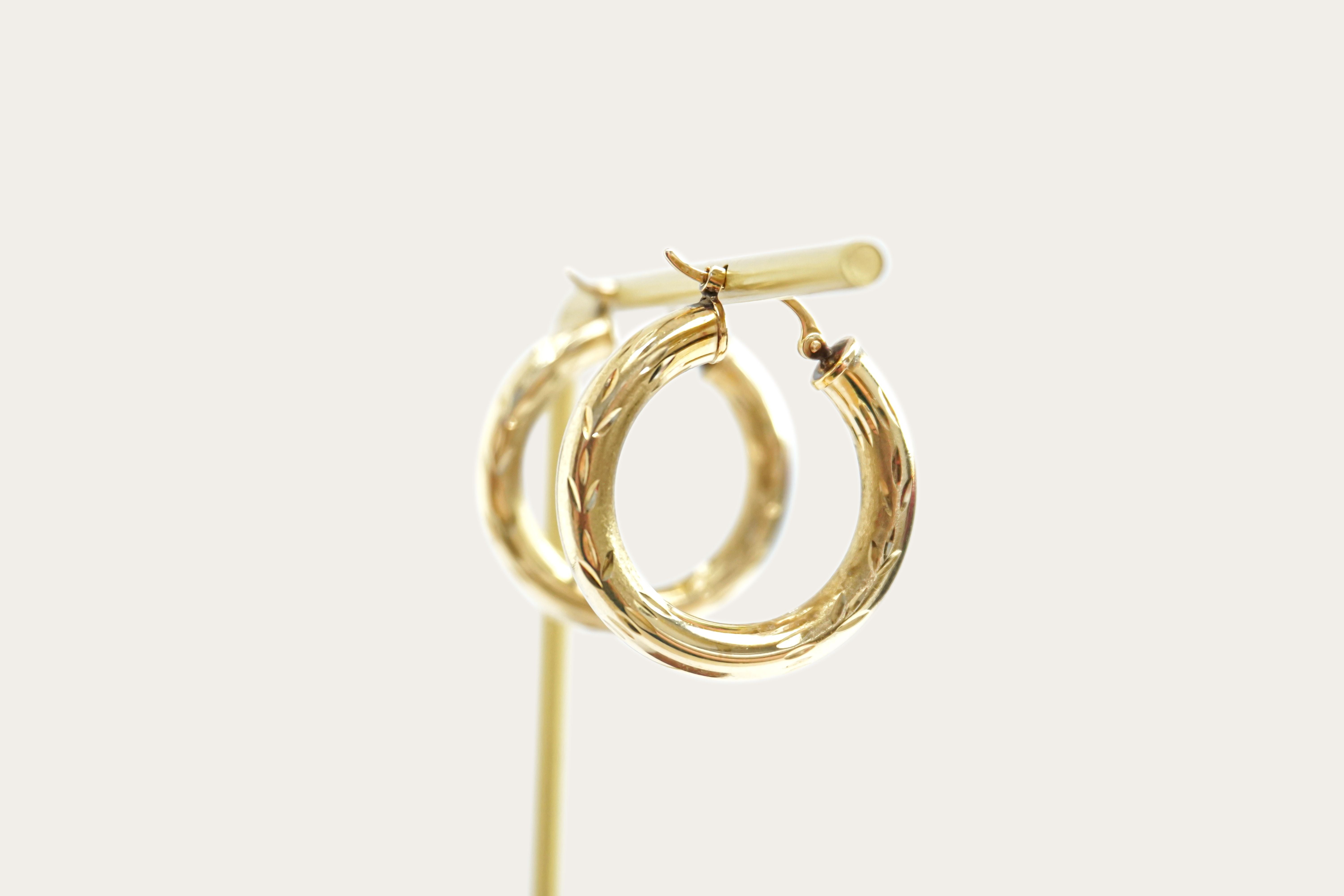 Hollow Hoop Gold Earrings Saddlebacks