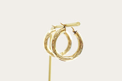 Hollow Hoop Gold Earrings Saddlebacks