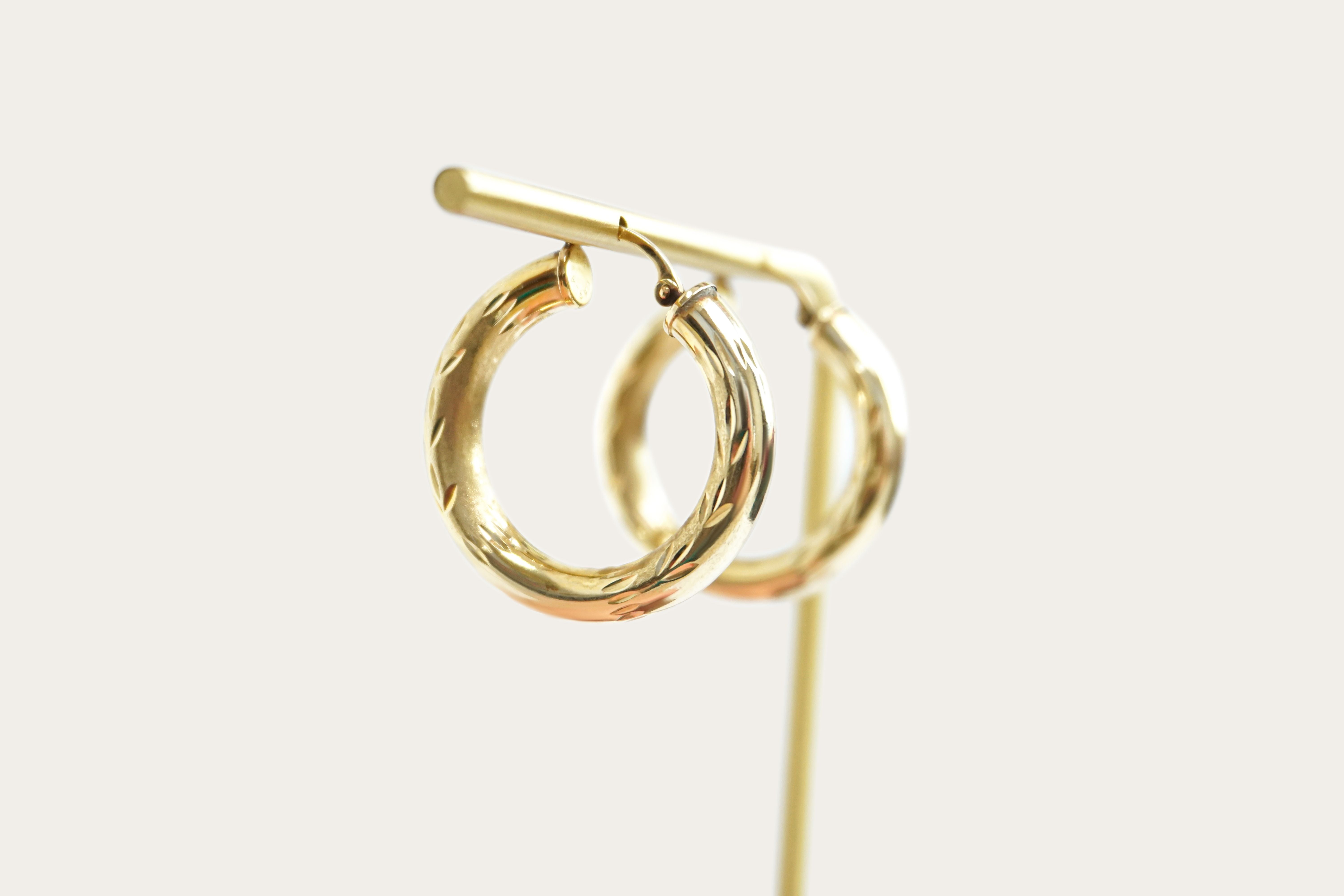 Hollow Hoop Gold Earrings Saddlebacks