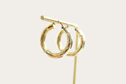 Hollow Hoop Gold Earrings Saddlebacks